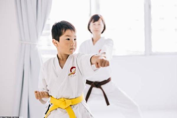 日本青少年参与的主要体育项目有哪些？(图1)